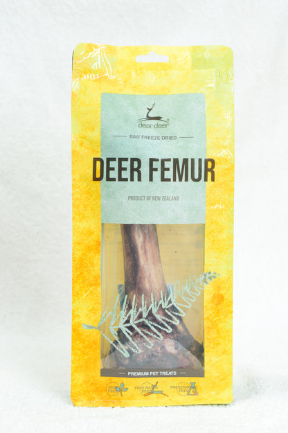 Dear Deer - Deer Femur 鹿大腿骨