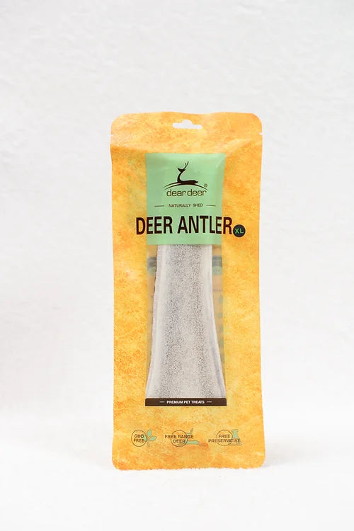 Dear Deer - Deer Antler 鹿角(XL)