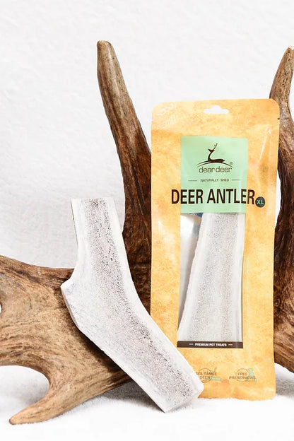 Dear Deer - Deer Antler 鹿角(XL)