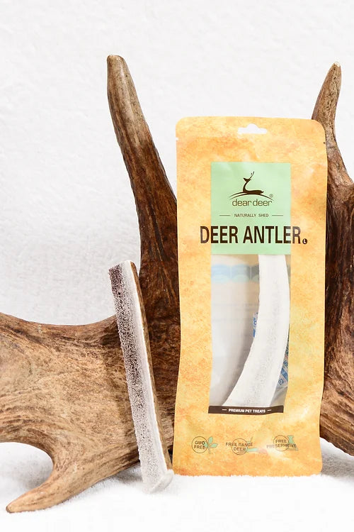 Dear Deer - Deer Antler 鹿角(L)